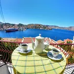 Pitini